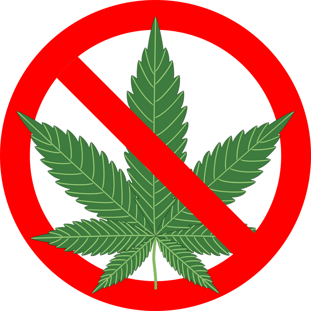 ¿Por qué el cannabis es ilegal en México? - Rahid Wholesale